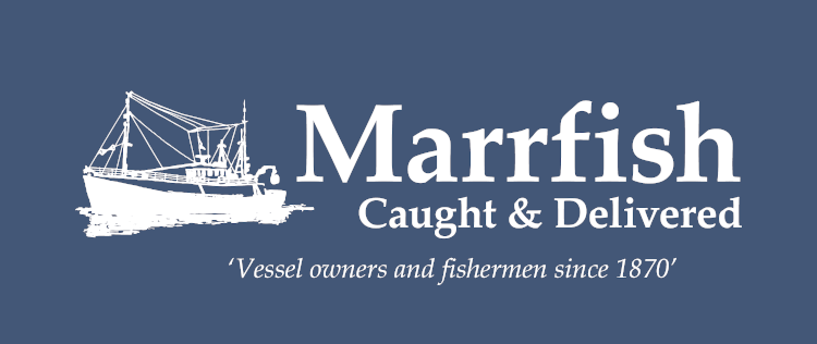 Marrfish logo